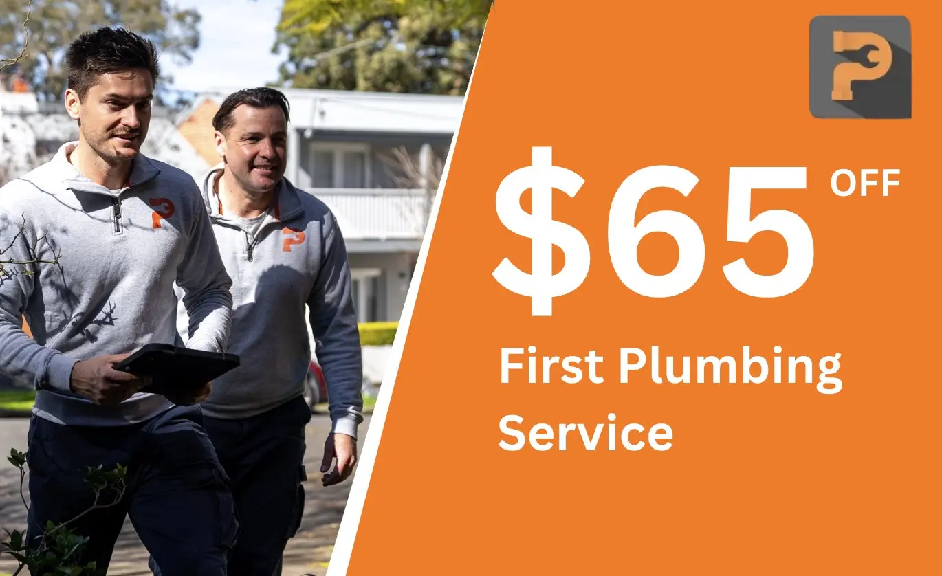 $65 off your first plumbing service