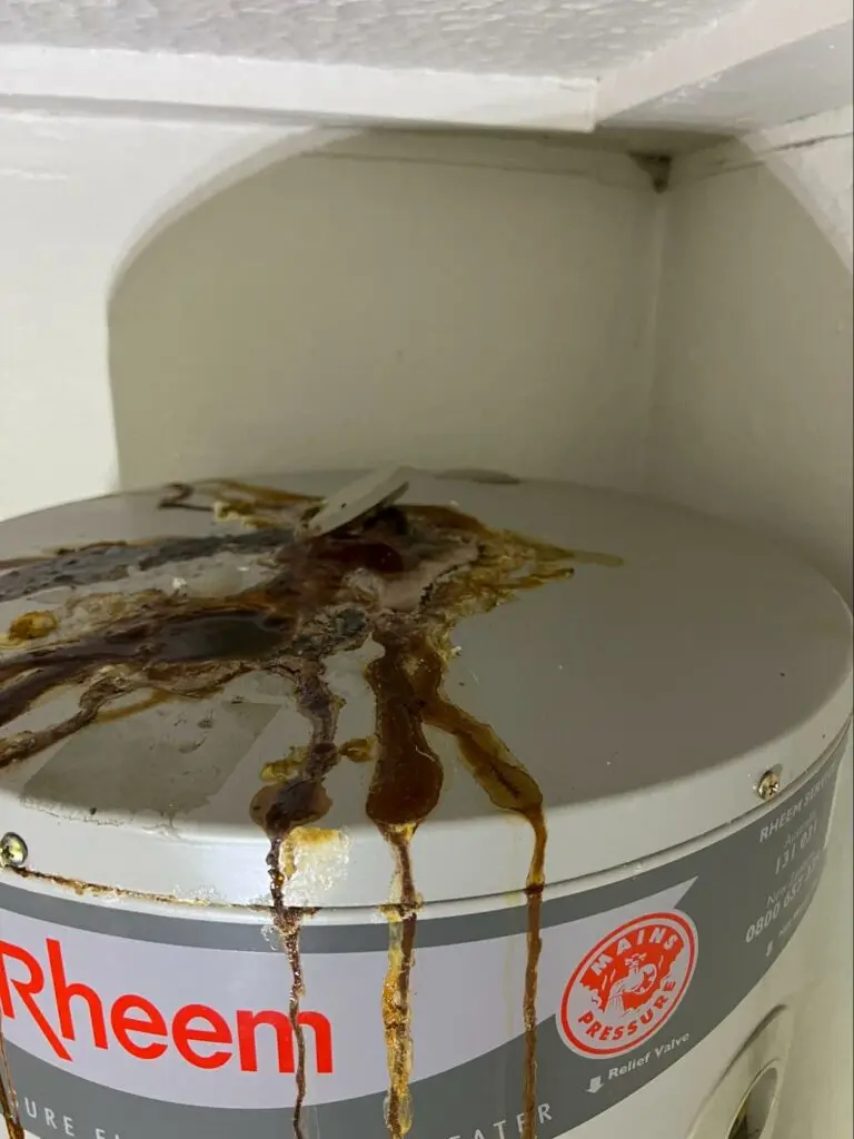 Hot water heater servicing (3)