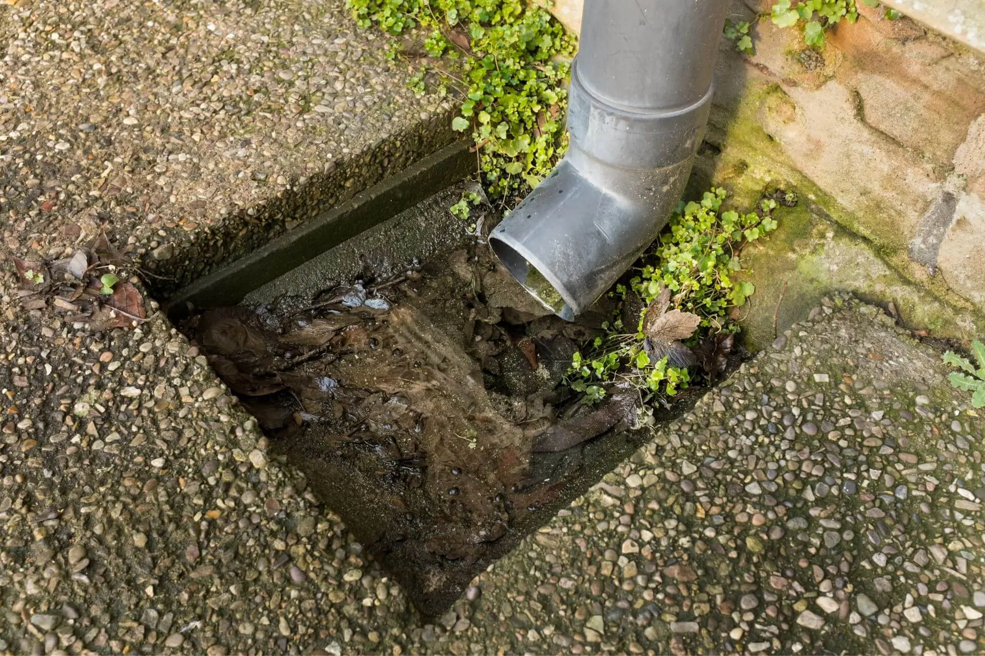 Outside drain (2)