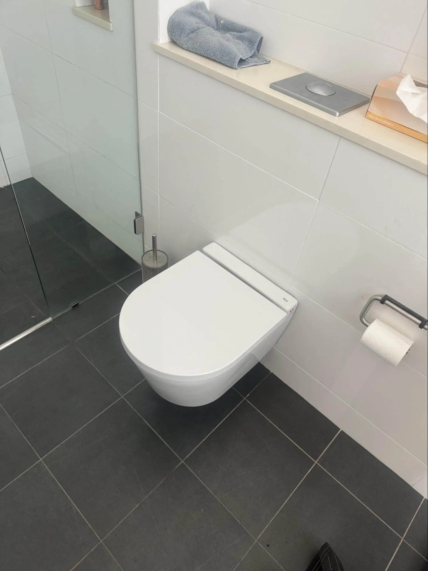 Toilet installation Balmain Sydney (4)