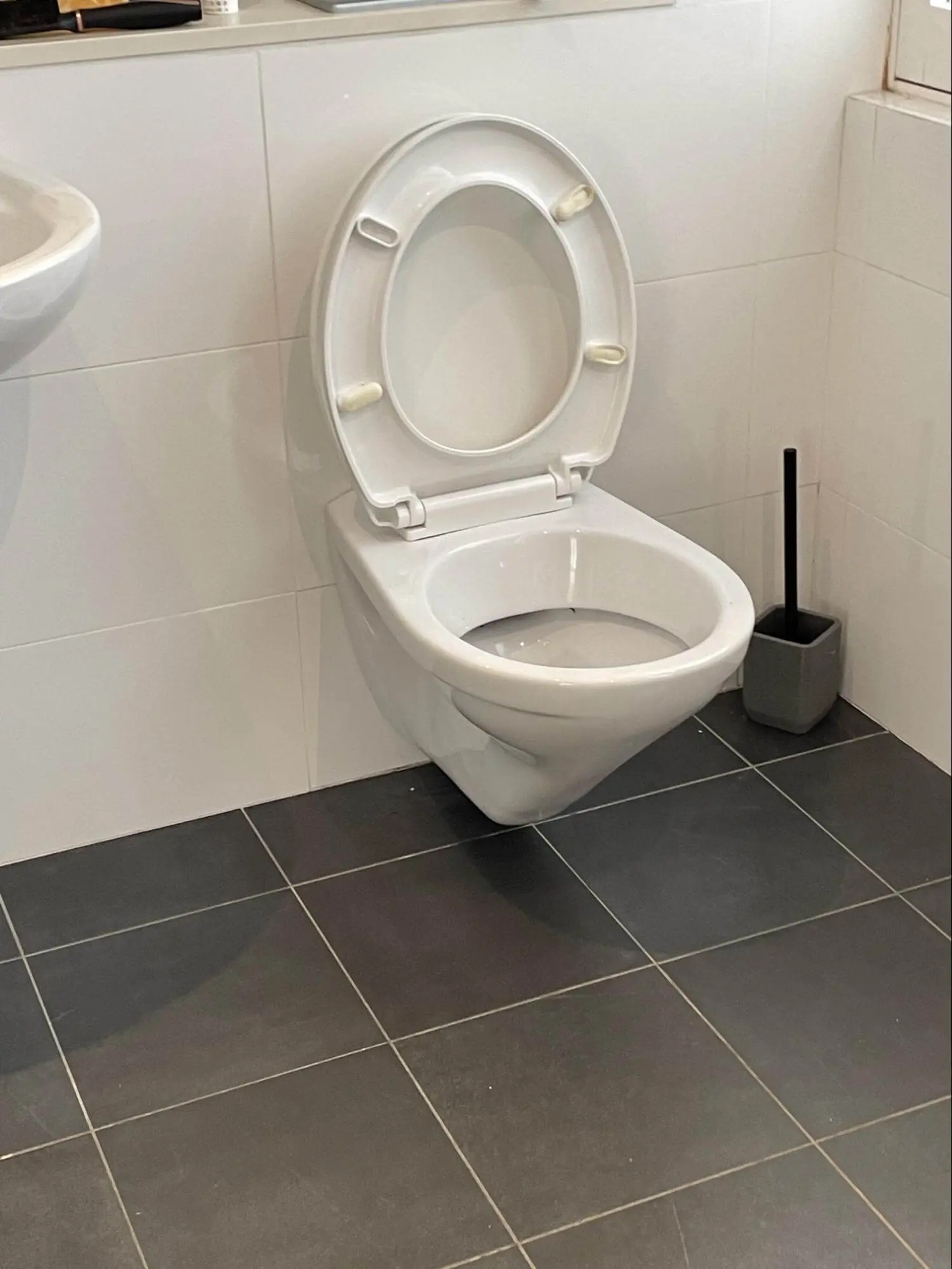 Toilet installation Balmain Sydney (2)