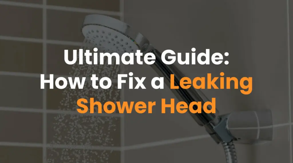 Ultimate guide how to fix a leaking shower head blog img 1